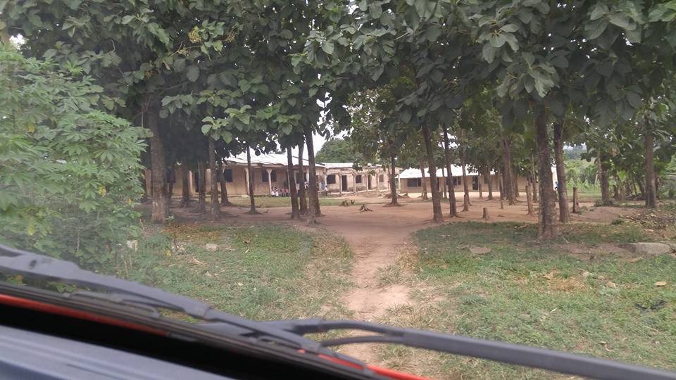 13895271_10153975995196715_6187681529491864436_n